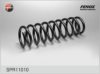 FENOX SPR11010 Coil Spring